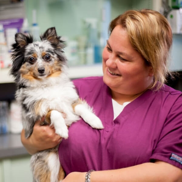 Donna F Veterinary Nurse Technician