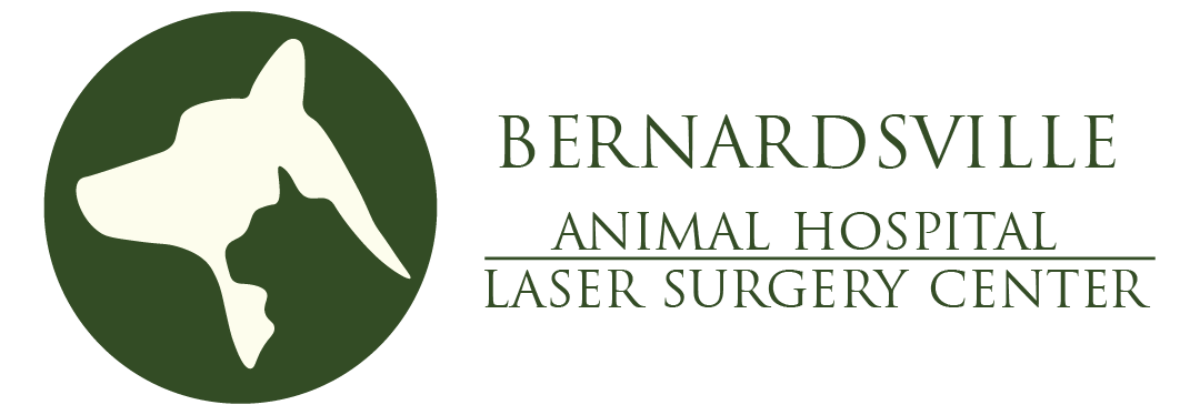 Bernardsville Animal Hospital logo
